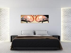 Obraz - dwa flamingi (170x50 cm)