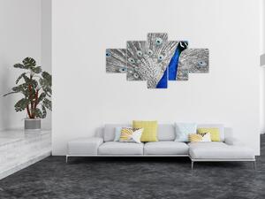 Obraz - niebieski paw (125x70 cm)