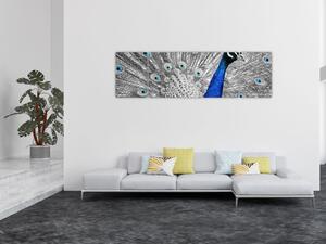 Obraz - niebieski paw (170x50 cm)