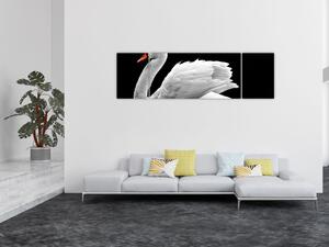 Obraz czarno - białego łabędzia (170x50 cm)