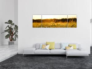 Obraz zroszonej trawy (170x50 cm)