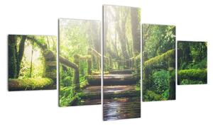 Obraz - drewniane schody w lesie (125x70 cm)