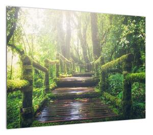 Obraz - drewniane schody w lesie (70x50 cm)