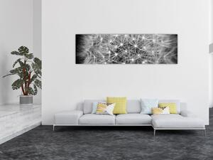 Obraz szarego dmuchawca (170x50 cm)