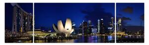 Obraz Singapuru nocą (170x50 cm)