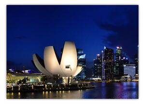 Obraz Singapuru nocą (70x50 cm)