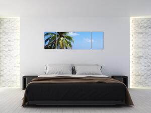 Obraz palmy na plaży (170x50 cm)