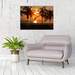 Obraz palmy o zachodzie słońca (70x50 cm)