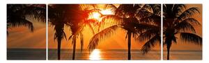 Obraz palmy o zachodzie słońca (170x50 cm)