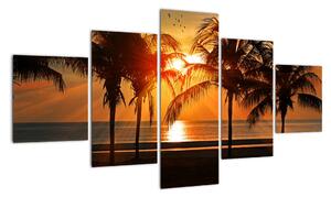 Obraz palmy o zachodzie słońca (125x70 cm)