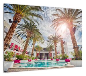 Obraz - palmy z basenem (70x50 cm)