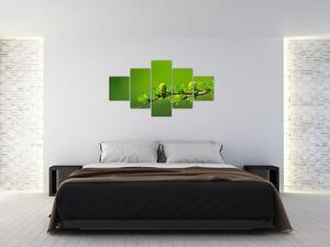 Obraz zielonej szyszki (125x70 cm)