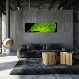 Obraz - zielony liść (170x50 cm)