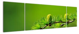 Obraz zielonej szyszki (170x50 cm)