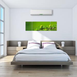 Obraz zielonej szyszki (170x50 cm)