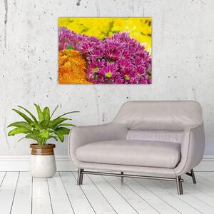 Obraz różowego kwiatu (70x50 cm)