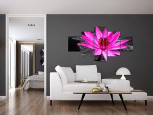 Obraz - różowy kwiat (125x70 cm)