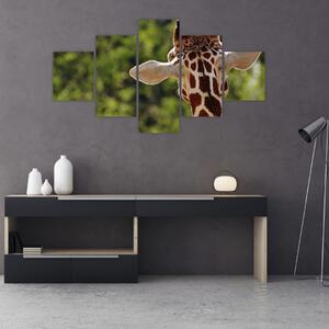 Obraz żyrafy od tyłu (125x70 cm)