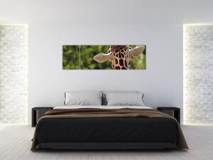 Obraz żyrafy od tyłu (170x50 cm)