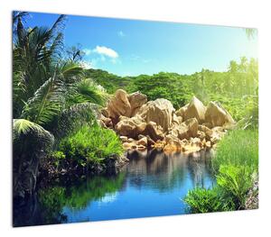 Obraz jeziora w dżungli Seszeli (70x50 cm)