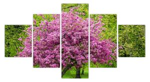Obraz kwitnącego drzewa na łące (125x70 cm)