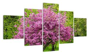 Obraz kwitnącego drzewa na łące (125x70 cm)