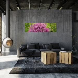 Obraz kwitnącego drzewa na łące (170x50 cm)