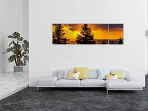 Obraz - drzewa iglaste (170x50 cm)