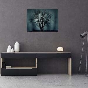 Obraz drzewa podczas zaćmienia (70x50 cm)