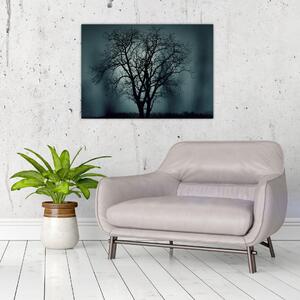 Obraz drzewa podczas zaćmienia (70x50 cm)