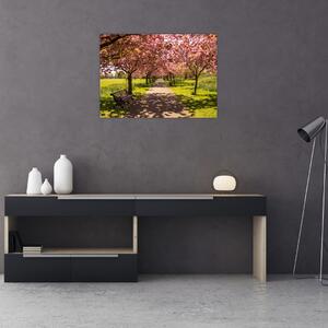 Obraz - sad czereśniowy (70x50 cm)