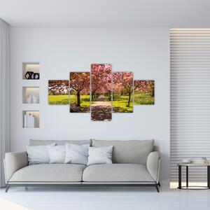 Obraz - sad czereśniowy (125x70 cm)