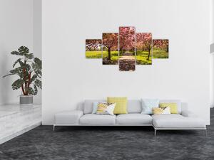Obraz - sad czereśniowy (125x70 cm)