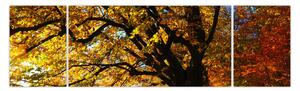 Obraz jesieni (170x50 cm)