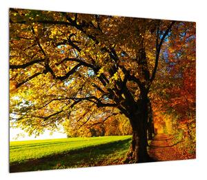 Obraz jesieni (70x50 cm)