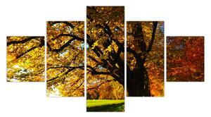 Obraz jesieni (125x70 cm)