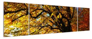 Obraz jesieni (170x50 cm)