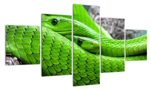 Obraz zielonych węży (125x70 cm)