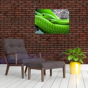 Obraz zielonych węży (70x50 cm)