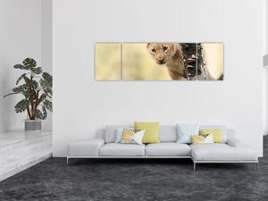 Obraz lwiątka (170x50 cm)