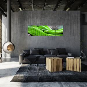 Obraz zielonych węży (170x50 cm)