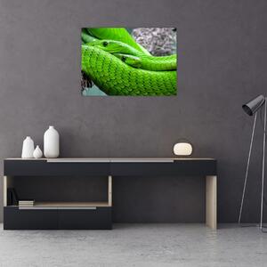 Obraz zielonych węży (70x50 cm)