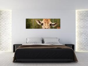 Obraz żyrafy (170x50 cm)