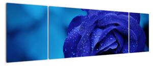 Obraz niebieskiej róży (170x50 cm)