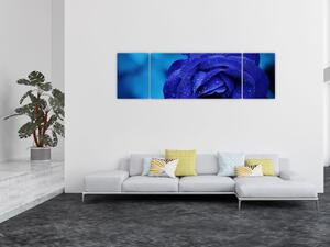 Obraz niebieskiej róży (170x50 cm)