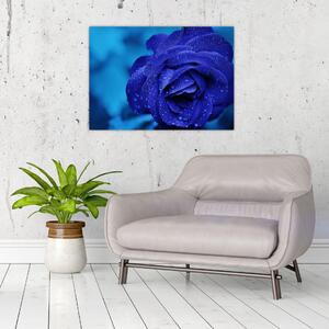Obraz niebieskiej róży (70x50 cm)
