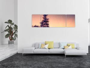 Obraz ośnieżonego drzewa na łące (170x50 cm)