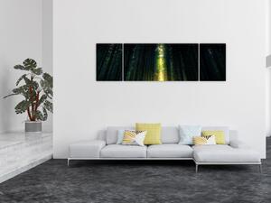 Obraz ciemnego lasu (170x50 cm)