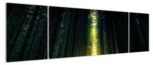 Obraz ciemnego lasu (170x50 cm)