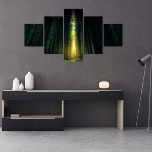 Obraz ciemnego lasu (125x70 cm)